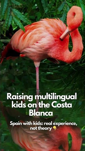 If you raise a child in Spain with more than one language, someone will always ask: w...