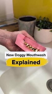 When was the last time you inspected your dog's teeth? 😮 We've teamed up with experts to create an effortless dental formula that takes less than 30 seconds to use! Featured on Forbes and Buzzfeed, 200,000 customers, 4.4/5 on Trustpilot - the internet has spoken...This Dental Formula is the real deal 🥇 | PetLab Co.