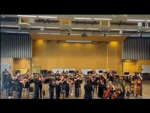 Blue Fire Fiddler (excerpt)