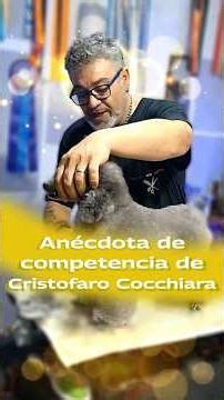Caniche Terrier Clip por Cristofaro Cocchiara - Anécdota de competencia