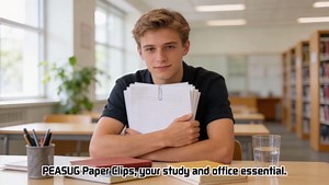 800 Pcs Jumbo Paper Clips, Large Smooth Paperclips for Home, School and Office Use, 2" Rustproof Metal Silver Paper Clips,8 Boxes of 100 Each, 2.0 inch