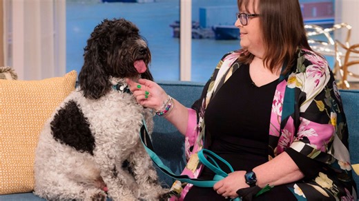 I spent £800 on a cockapoo pup - now he's a 22kg beast & costs £250 a month