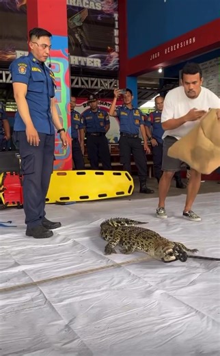 Kasihan bel #ebel #damkar