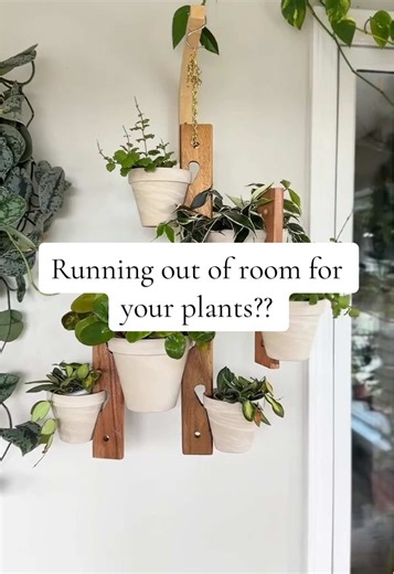 Such a fun way to display your houseplants! This would be perfect for a porch or sunny spot in your home. I love the wood tones and the variety of planters you can use 💚 Find these are more in my #Amazon storefront through the link in my bi0 #houseplusplant #houseplants #plantlover #planttok #fyp #lifestyle