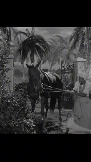 I Walked with A Zombie (1943) definitely needed a lot more Theresa Harris #classicmovies