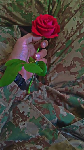 COMMANDO#pakistan #army #reels #shorts #whatsappstatus #hacker #trending #mrbeast #military