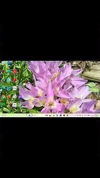 #shorts 便利なアプリをdesktopへ その① #windows #パソコントラブル #ロブロックス