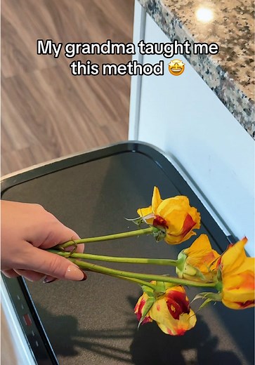 Create Rose Water at Home Using Grandma's Method