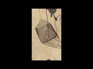 how to modify pyramid crab trap