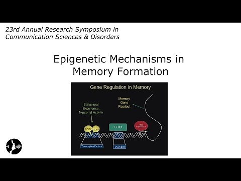 David Sweatt, PhD: Epigenetic Mechanisms in Memory Formation