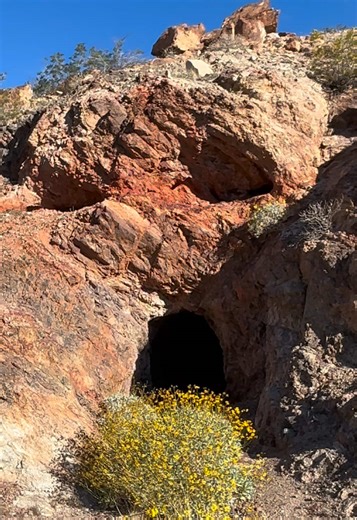 What do you guys SEE?? 👀 I am speechless. Leave your comments below. #flyingdragon #petrifiedanimal #falkor #petrifiedgiant #mudfossiluniversity