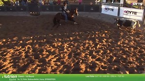 𝗣𝗥𝗬𝗗𝗘𝗦 𝗘𝗔𝗦𝗜𝗙𝗘𝗘𝗗 𝗖𝗟𝗔𝗦𝗦𝗜𝗖 𝗖𝗔𝗠𝗣𝗗𝗥𝗔𝗙𝗧 𝗔 𝗚𝗼𝗼𝗱 𝗱𝗮𝘆 𝗮𝘁 𝘁𝗵𝗲 𝗼𝗳𝗳𝗶𝗰𝗲 𝗳𝗼𝗿 𝗦𝗽𝗿𝗶𝗻𝗴𝘀𝘁𝗲𝗲𝗻 & 𝗠𝗮𝘁𝘁. We're thinking of taking up campdrafting...it looks so easy! Or is it that everything SPRINGSTEEN & MATT MOFFAT does, makes it look that way. A cracking morning in the Classic Challenge, followed by an 88 (23 61 4) in the Classic Campdraft rounds off the day nicely. Huge congratulations on a job well done. | Select Sires