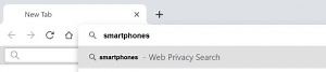 Web Privacy Search Redirect “Virus” - How to Remove It