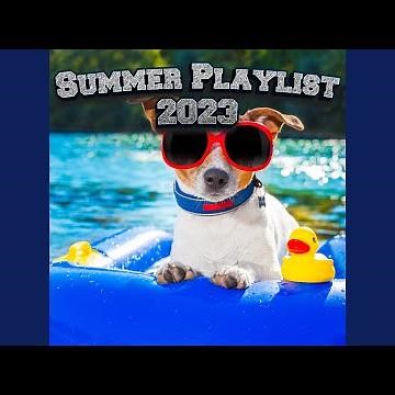 Relaxing Summer Playlist