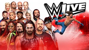 Jetting in from the USA are WWE Superstars Seth Rollins, AJ Styles, Braun Strowman, Baron Corbin, The Miz, Alexa Bliss, Bobby Lashley, Cesaro, Natalya, Naomi, Samoa Joe and many more! Find out all the info you need for one action-packed weekend right here: http://po.st/butlins-wwe2019 | Butlin's