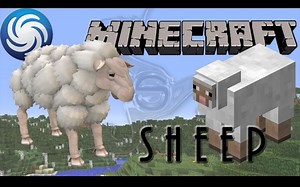 孢子-Minecraft-羊-无MOD
