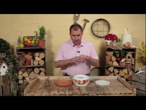 Blood Fish and Bone Fertiliser