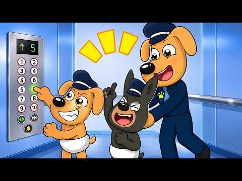 💔 It's Okay, Papillon. We'll Find a Way to Bring You Back! 🧟‍♂️✨ | Sheriff Labrador Stories