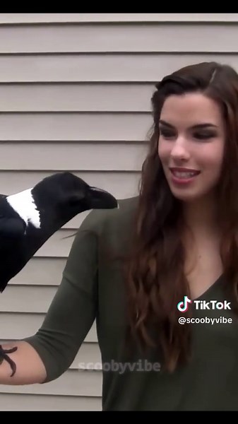 Meet the CUTEST Funny Pets Ever! 💕 🤣 Best Funny & Cute Animal . . . #funnyanimals #petsreaction #cutecatsanddogs #animalhumor #viralpetvideos