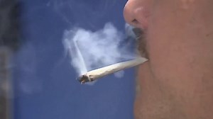 First cannabis event insurance in Canada