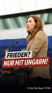 146K views · 11K reactions | Während Ungarn echte Friedensgespräche...