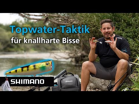 TOPWATER wie ein Profi: Stickbait & Popper richtig geführt – inkl. Tackle-Guide