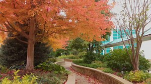 We wish fall could stay a little longer on our Aurora campus with some of these views. | Rush Copley Medical Center