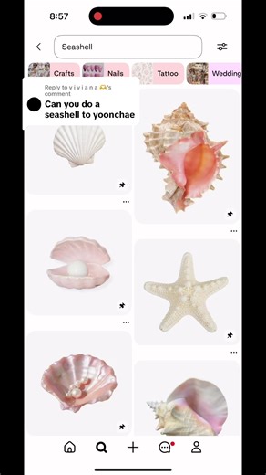 How to Clean Seashells for Crafting and Decor
