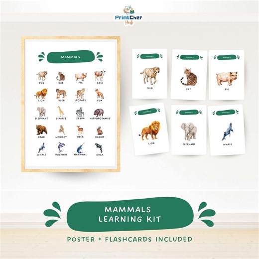 Mammals: Animals Classification Learning Kit | Poster and Flashcards Bundle Printable - Etsy
