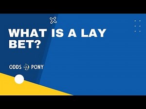 What is a lay bet? | Lay betting explained