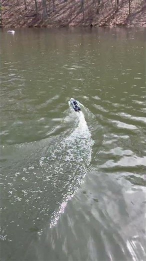 BeThis RC Boat is FAST 🚤💨 | BEZGAR TX123 on the Water