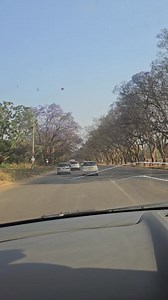 Nyika yakanaka hayo... | Anganga