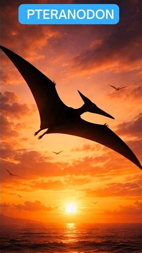 Pteranodon — The Lord of the Winds | The King of the Prehistoric Sky