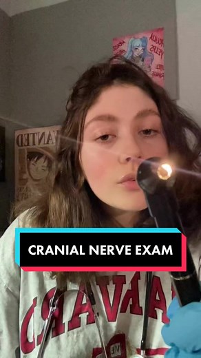 Fast Cranial Nerve Exam | ASMR Medical Roleplay