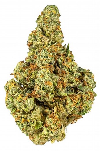 Lemon Cheesecake Strain - Hybrid Cannabis Review, 25% THC, 0.05% CBD & 0.3mg/g Limonene