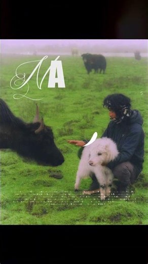 Learn how to colorize your videos like a pro.