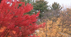 Wildfire danger increases as dry fall weather continues