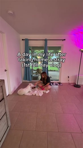 Let's answer some FAQS!🐶 🐾Are you keeping her? Yes! We are in the process of legally adopting her. 🐾What is her name? We will announce this after her adoption goes through! We are feeling a bit anxious about it and don't want to jinx anything. 🐾Is she pregnant? There were no puppies found with her and according to the first vet, she doesn't look like she had any puppies recently. Also according to eyewitness accounts, she has been seen since September 2025 and never had signs of puppies or p