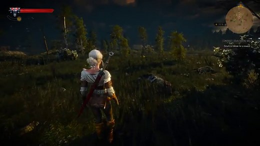 Better Call Ciri