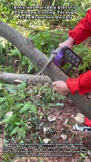 Efficient Portable Electric Chainsaw Cutting Through Tree Branches Quickly