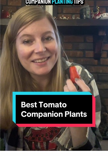 Best Companion Plants for Healthy Tomatoes