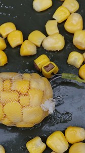 224K views · 999 reactions |  This Tip Might Be Old … But It’s PURE...