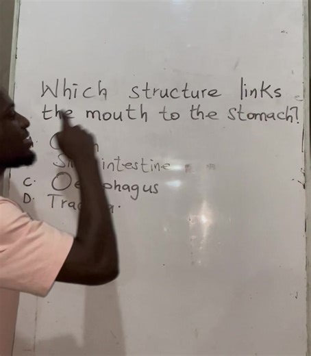 Innovative Science Education in Ghana