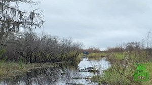 386K views · 935 reactions | 50" tractor tired swamp buggy has been stuck for 3 weeks now and no one cant get it out. AND its 250 yards from any type of dry ground! #offroad #offroadrecovery #stuck #video #gear #factor55 #warnwinch #mud #video #wheeling #offroading #truck #hunting #hunter | Matt Mckinzie | Facebook