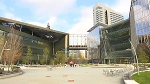 Cornell Tech campus takes eco-friendly to the next level