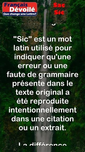 Sac et Sic #shorts (Une Lettre)