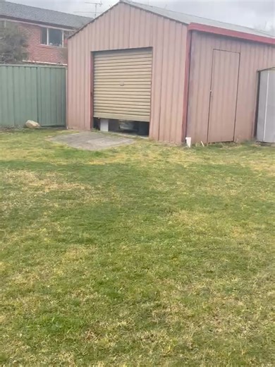 1.6K views · 95 reactions | Greyhound Rescue on Reels | Facebook