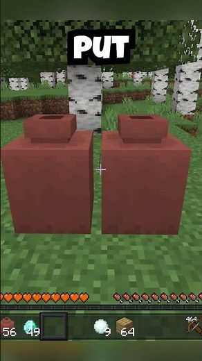 Put ANY ITEMS in DECORATED POTS!