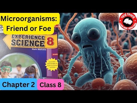 Microorganisms: Friend or Foe || Class 8 Chapter 02 || Frank Experience science || science solution