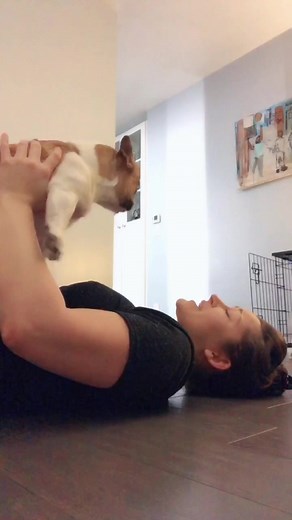 Islay the French Bulldog Enjoys Snack Time